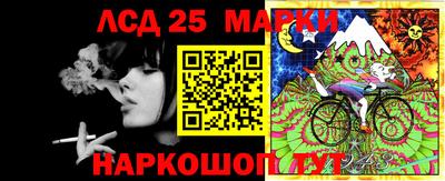 сатива Кингисепп