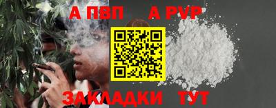 сатива Кингисепп