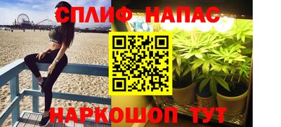 сатива Кингисепп