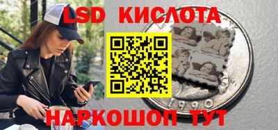 сатива Кингисепп
