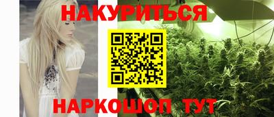 сатива Кингисепп