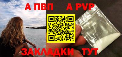 сатива Кингисепп