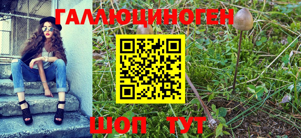 Псилоцибиновые грибы мухоморы Златоуст