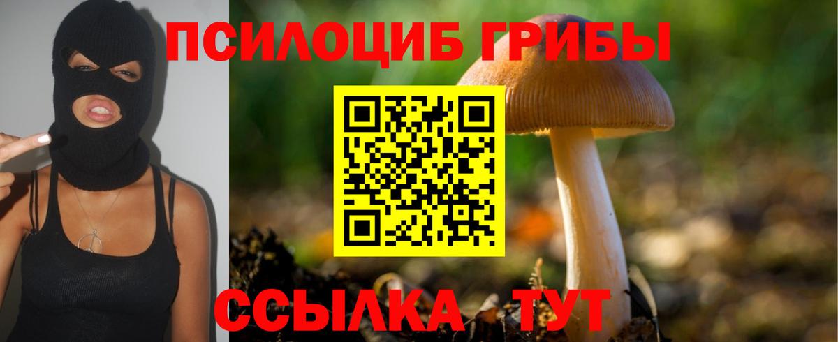 Псилоцибиновые грибы Magic Shrooms  Вход с VPN  Златоуст 